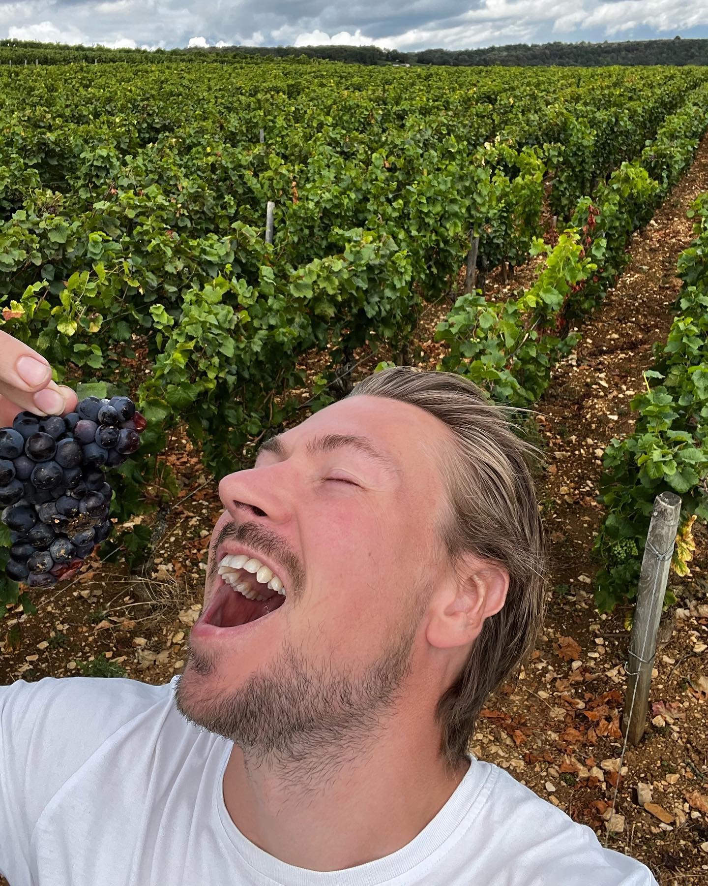 Pierre, fondateur du cellier des Lices